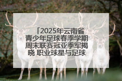 2025年云南省青少年足球春季学期周末联赛冠亚季军揭晓 职业球星与足球小将共享荣耀时刻