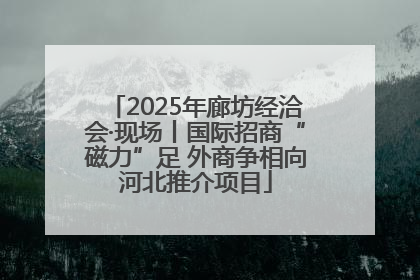 2025年廊坊经洽会·现场丨国际招商“磁力”足 外商争相向河北推介项目