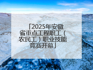 2025年安徽省重点工程职工（农民工）职业技能竞赛开幕