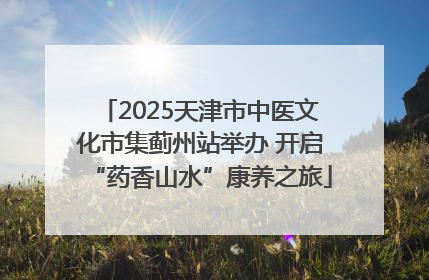 2025天津市中医文化市集蓟州站举办 开启“药香山水”康养之旅