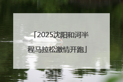 2025沈阳和河半程马拉松激情开跑