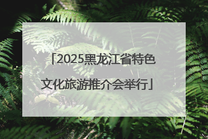 2025黑龙江省特色文化旅游推介会举行