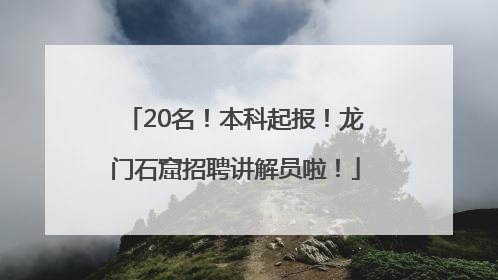 20名！本科起报！龙门石窟招聘讲解员啦！