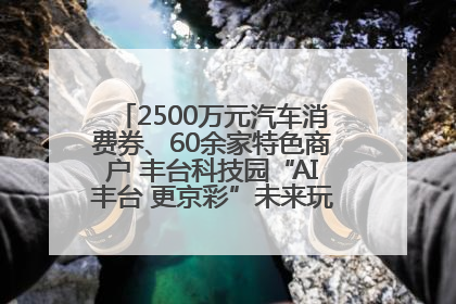2500万元汽车消费券、60余家特色商户 丰台科技园“AI丰台 更京彩”未来玩家市集活动正式开幕