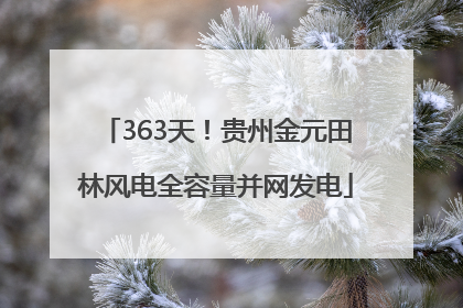 363天！贵州金元田林风电全容量并网发电