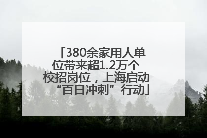 380余家用人单位带来超1.2万个校招岗位，上海启动“百日冲刺”行动