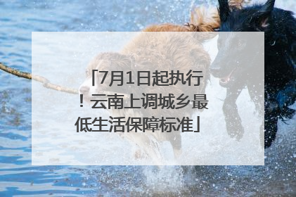 7月1日起执行！云南上调城乡最低生活保障标准