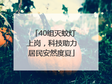 40组灭蚊灯上岗，科技助力居民安然度夏
