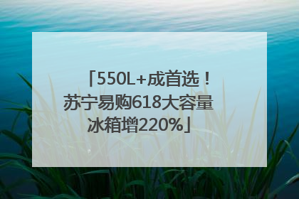 550L+成首选！苏宁易购618大容量冰箱增220%