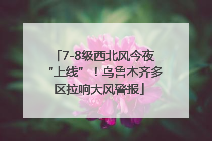 7-8级西北风今夜“上线”！乌鲁木齐多区拉响大风警报