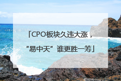 CPO板块久违大涨，“易中天”谁更胜一筹