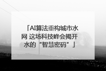 AI算法重构城市水网 这场科技峰会揭开水的“智慧密码”