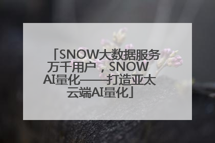 SNOW大数据服务万千用户，SNOW AI量化——打造亚太云端AI量化